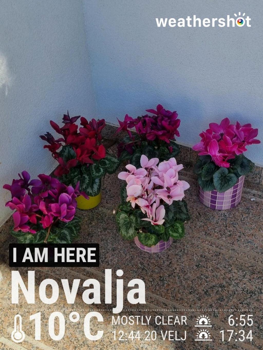 Apartment Dony - Ticic Novalja Kültér fotó